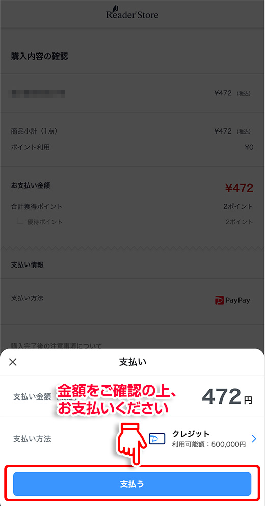 金額をご確認の上、お支払いください