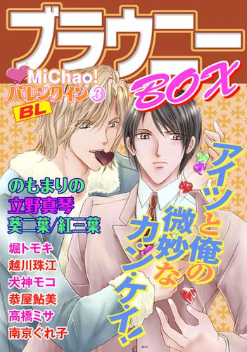 MiChao！バレンタインBLブラウニーBOX