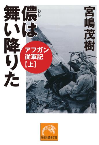儂は舞い降りた/アフガン従軍記(上)