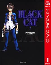 BLACK CAT 1