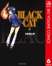 BLACK CAT 6
