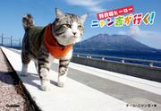 野良猫ヒーロー　ニャン吉が行く！  かぎしっぽのアイドル猫「ニャン吉」感動の写真集
