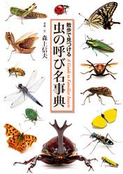 虫の呼び名事典 散歩で見つける