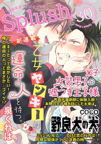 Splush vol.30　青春系ボーイズラブマガジン