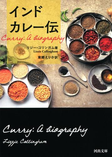 インドカレー伝