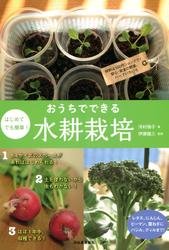 はじめてでも簡単！　おうちでできる水耕栽培　材料は１００円ショップで！　安心・安全の野菜、ハーブいろいろ
