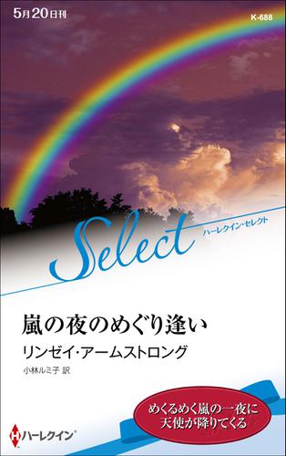 嵐の夜のめぐり逢い