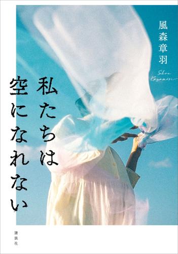 私たちは空になれない