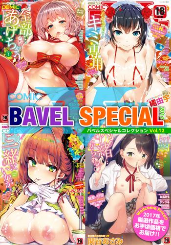 COMIC BAVEL SPECIAL COLLECTION（コミックバベル スペシャルコレクション）VOL12