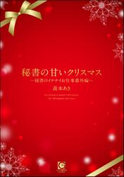 秘書の甘いクリスマス ～秘書のイケナイお仕事番外編～