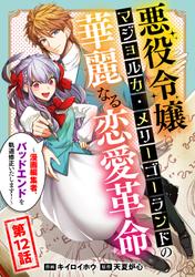 悪役令嬢マジョルカ・メリーゴーランドの華麗なる恋愛革命～漫画編集者、バッドエンドを軌道修正いたします！～