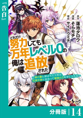 どれだけ努力しても万年レベル０の俺は追放された～神の敵と呼ばれた少年は、社畜女神と出会って最強の力を手に入れる～【分冊版】（ノヴァコミックス）１４