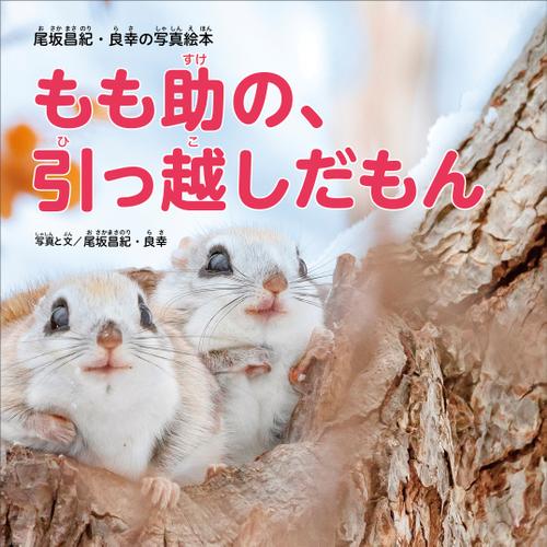 尾坂昌紀・良幸の写真絵本 もも助の、引っ越しだもん