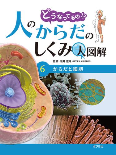 からだと細胞６　どうなってるの！？　人のからだのしくみ大図解