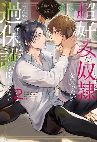 超好みな奴隷を買ったがこんな過保護とは聞いてない２