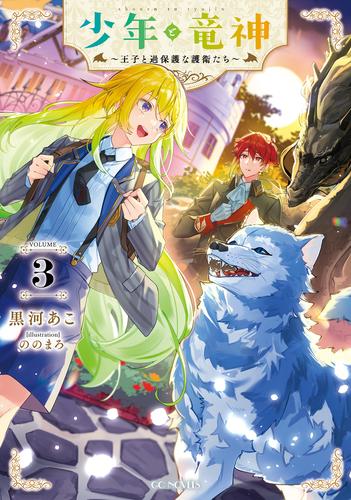 少年と竜神～王子と過保護な護衛たち～ 3