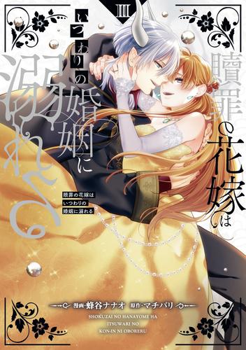 贖罪の花嫁はいつわりの婚姻に溺れる３