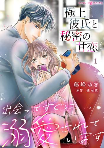 極上彼氏と秘密の甘恋～出会ってすぐに溺愛されています～【分冊版】1話
