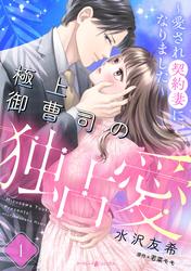 【無料】極上御曹司の独占愛～愛され契約妻になりました～【分冊版】