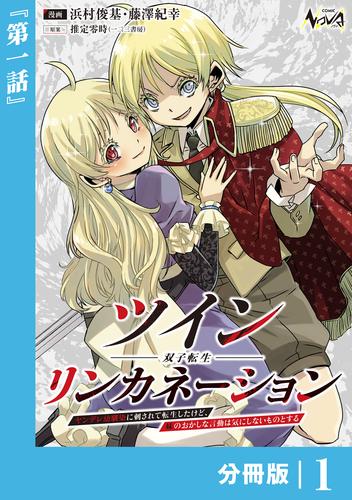 ツインリンカネーション 【分冊版】１