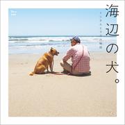 海辺の犬。