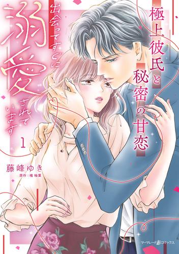 極上彼氏と秘密の甘恋～出会ってすぐに溺愛されています～ １