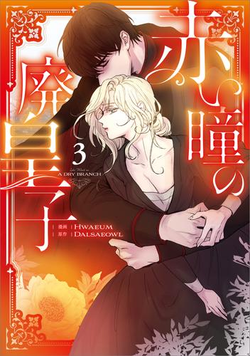 赤い瞳の廃皇子（コミック）　３