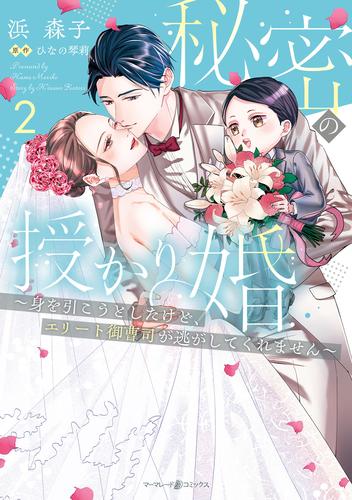 秘密の授かり婚～身を引こうとしたけど、エリート御曹司が逃がしてくれません～ ２