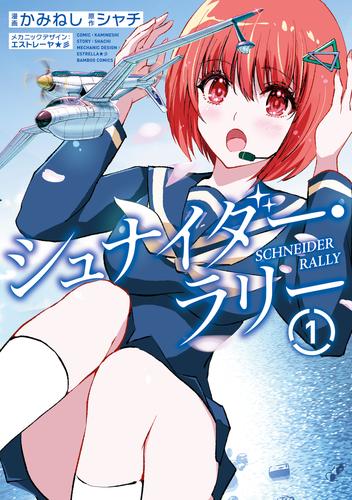 シュナイダー・ラリー (1)