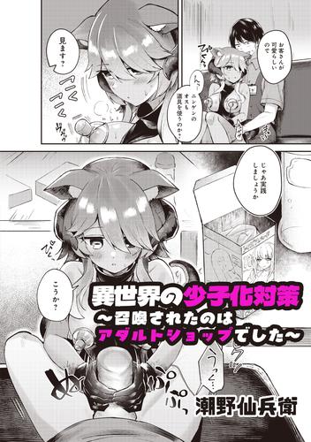 異世界の少子化対策　～召喚されたのはアダルトショップでした～