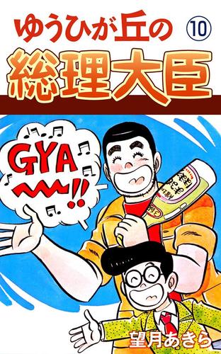 ゆうひが丘の総理大臣（１０）