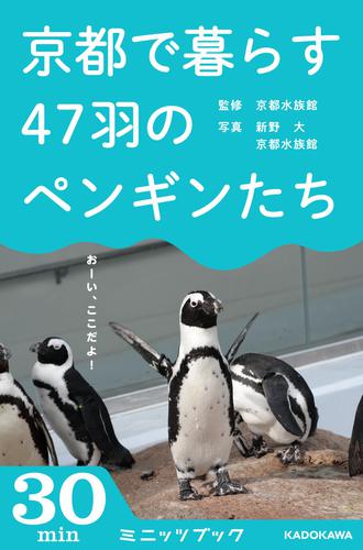 京都で暮らす47匹のペンギンたち