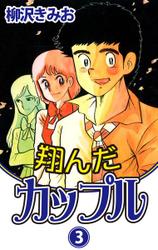 翔んだカップル（３）