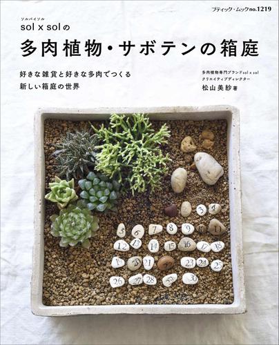 ｓｏｌ　×　ｓｏｌの多肉植物・サボテンの箱庭