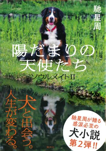 【カラー口絵付】陽だまりの天使たち　ソウルメイトＩＩ