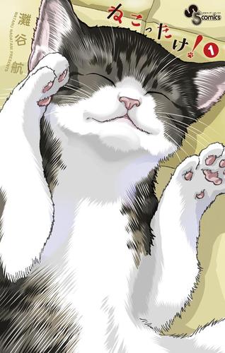ねこったけ！（１）