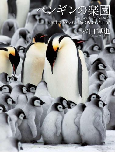 ペンギンの楽園　地球上でもっとも生命にあふれた世界