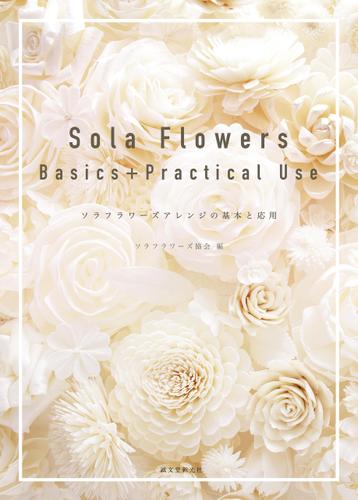 Sola Flowers Basics+Practical Use
