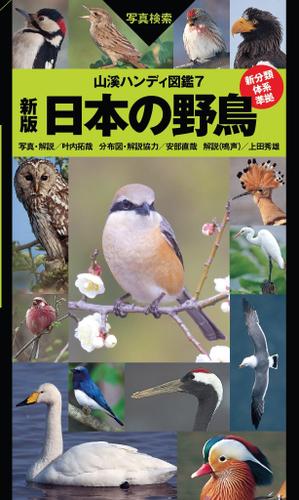 ヤマケイハンディ図鑑７　新版　日本の野鳥