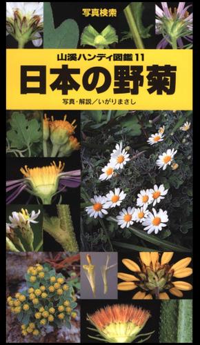 山溪ハンディ図鑑１１　日本の野菊