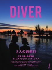 DIVER (No.427)