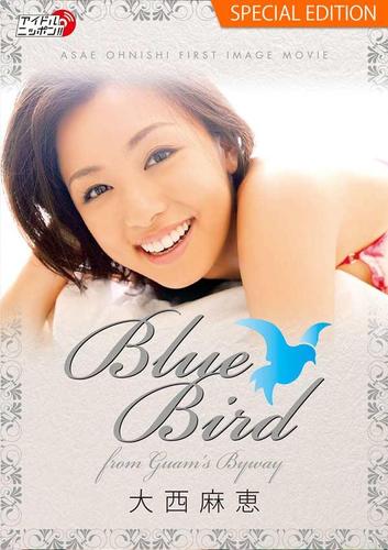 大西麻恵「BlueBird from GUAM's BYWAY」  Special edition