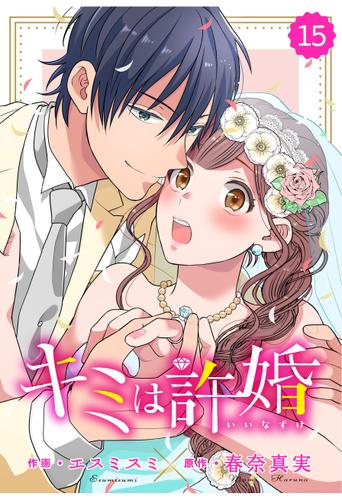 comic Berry’s キミは許婚１５巻