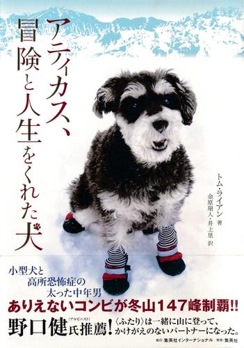 アティカス、冒険と人生をくれた犬