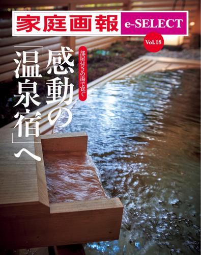 家庭画報 e-SELECT (Vol.18 部屋付きの湯で寛ぐ 感動の「温泉宿」へ)