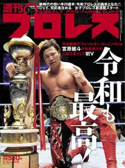 週刊プロレス (2019年5／15号)