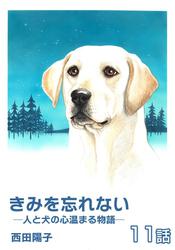 きみを忘れない  -人と犬の心温まる物語-　第11話【単話版】