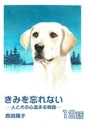 きみを忘れない  -人と犬の心温まる物語-　第12話【単話版】