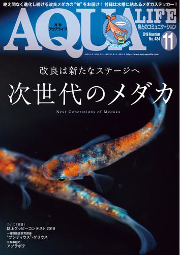 アクアライフ (11月号)