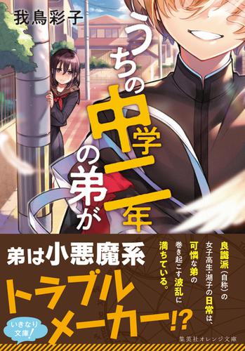 うちの中学二年の弟が